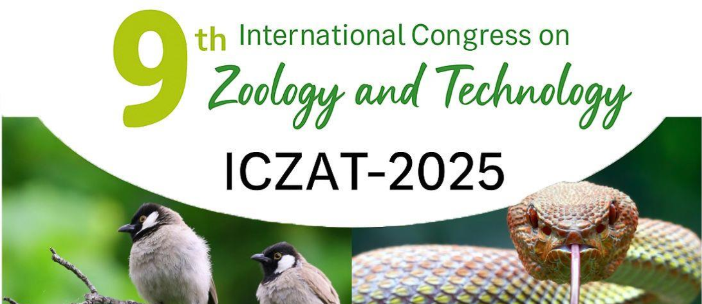  Ekran görüntüsü 2025-10-30 142028